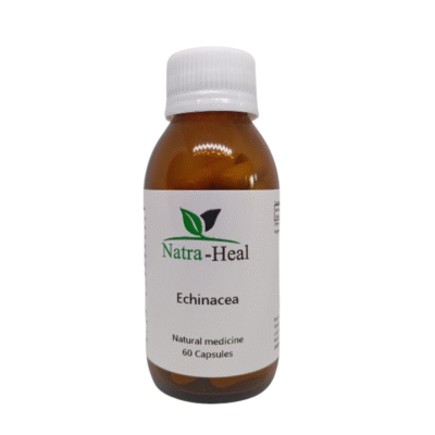 Echinacea