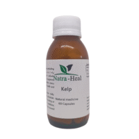 Kelp